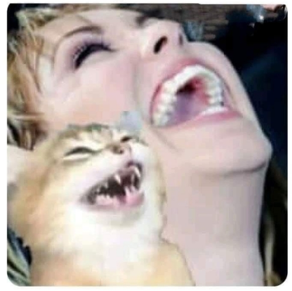 Meet your Posher, Sharona - Picture 3 of 13